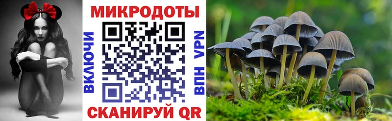 Галлюциногенные грибы GOLDEN TEACHER  Сухиничи 